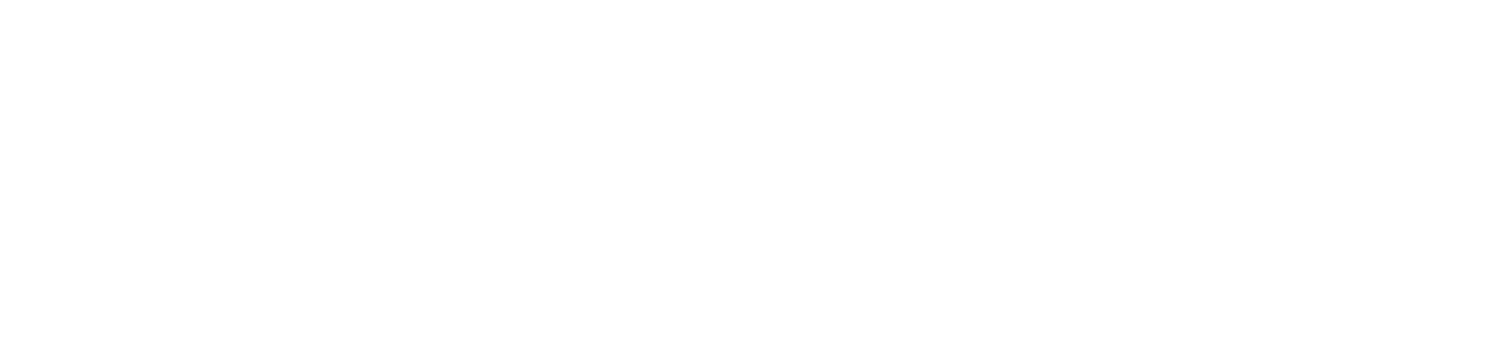 Logo Branca